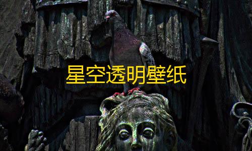 第五人格直装版星空透明壁纸